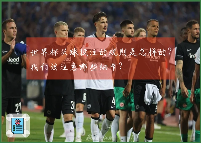 世界杯买球投注的规则是怎样的？我们该注意哪些细节？