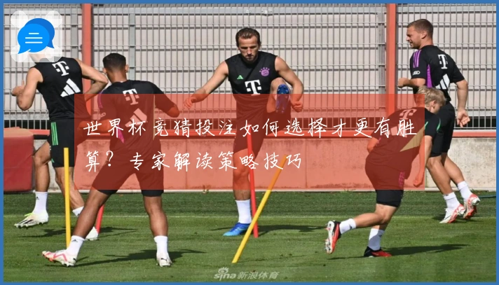 世界杯竞猜投注如何选择才更有胜算？专家解读策略技巧