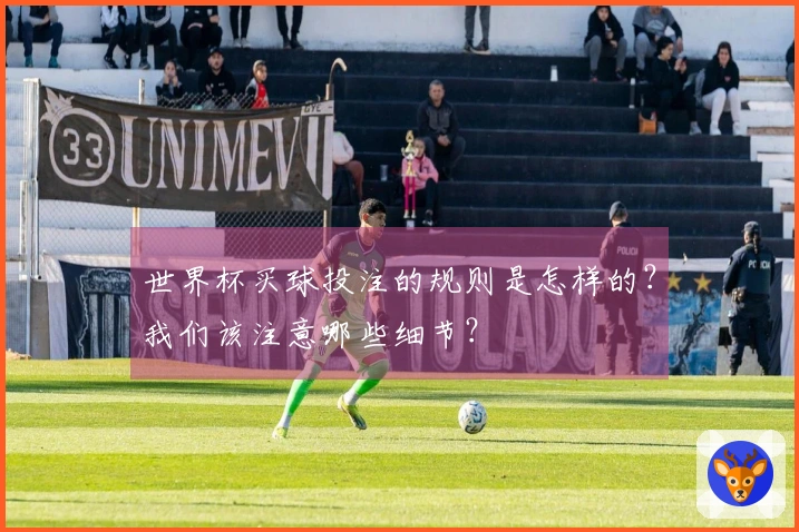 世界杯买球投注的规则是怎样的？我们该注意哪些细节？