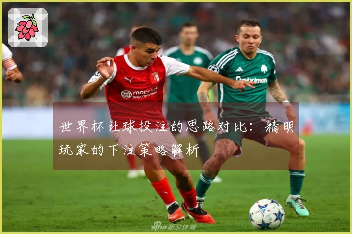 世界杯让球投注的思路对比：精明玩家的下注策略解析