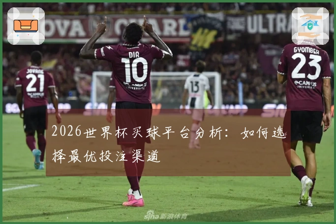 2026世界杯买球平台分析：如何选择最优投注渠道