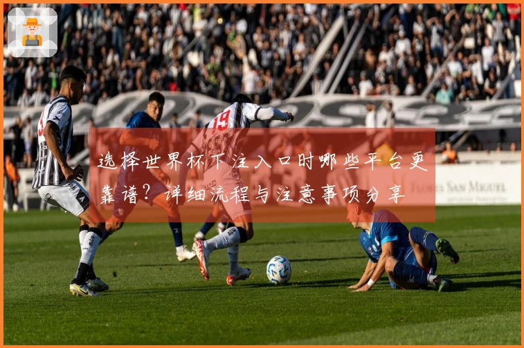 选择世界杯下注入口时哪些平台更靠谱？详细流程与注意事项分享
